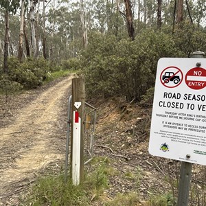 Heyfield Jamieson Rd & Mt Sunday Tk & Silvermine Spur Tk