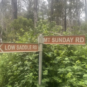 The Dog Kennel Campsite