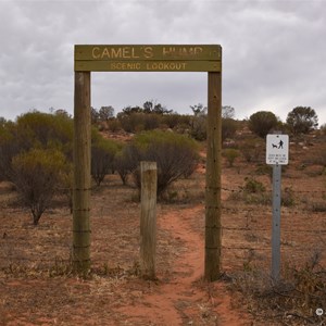 Camel Hump Lookout Walk