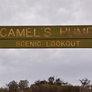 Camel Hump Lookout Walk