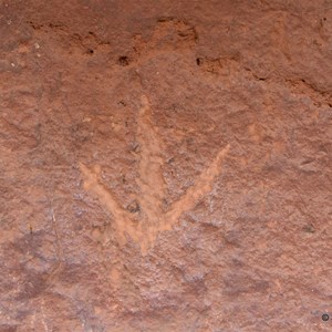 Start of Chambers Gorge Aboriginal Engravings