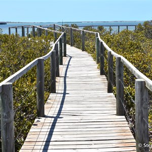 Cowell Mangrove Boardwalk