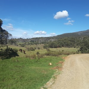 Port Phillip Trail