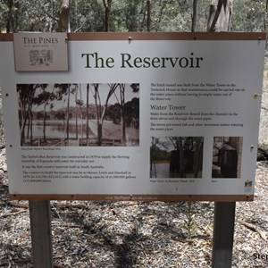 Taylors Run Reservoir