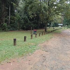 Dingo Tops Campground