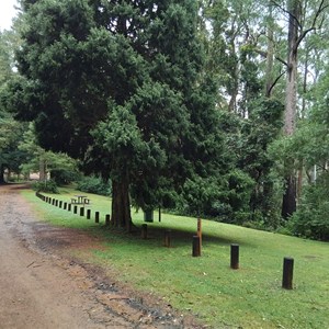 Dingo Tops Campground