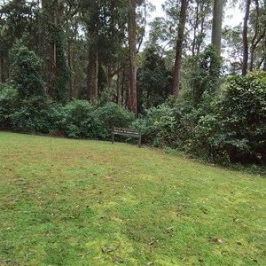 Dingo Tops Campground