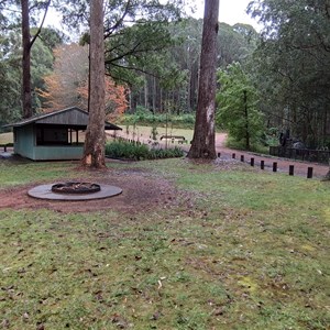 Dingo Tops Campground
