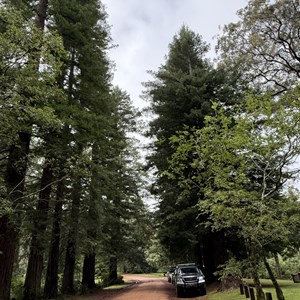 Dingo Tops Campground