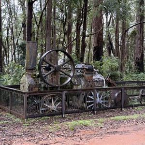 Dingo Tops Campground
