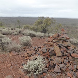 Forrest Lookout