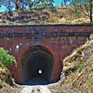 Cheviot Tunnel