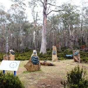 The sculptures stand in a circle in the bush 