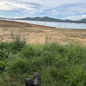 Ludlows Reserve