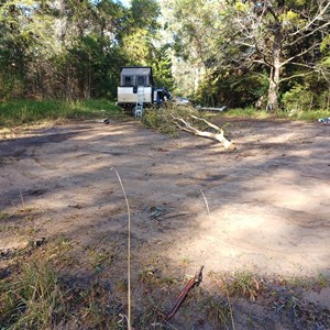 Old Forest Building Remains