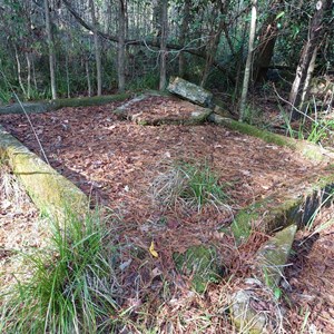 Old Forest Building Remains