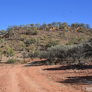 At the base of Mount Oxley