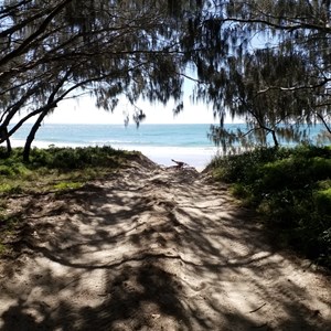 Track A Flinders Beach