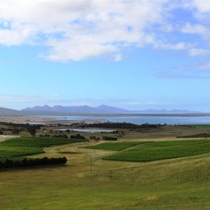 View over the vineyard and to Freycinet Peninsula