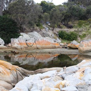 A rock pool in the St Helens Point Nature Reserve