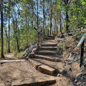 Mount Tibrogargan Trail Head