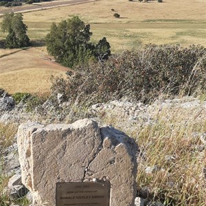 Grave & Lookout Ronald Wesley Simkin
