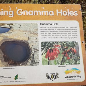 Trayning Gnamma Holes