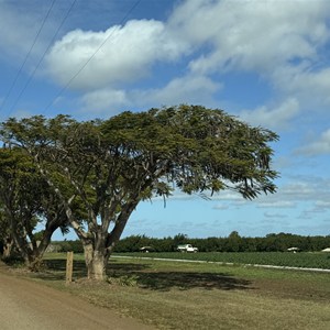 Tinaberries Farm