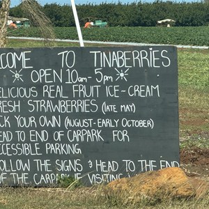 Tinaberries Farm