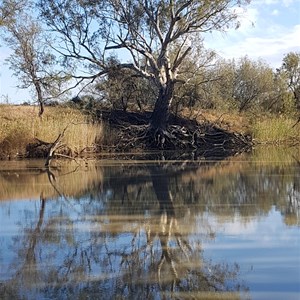 Edward River Reflections