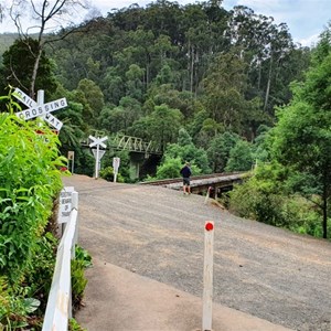 The rail and road bridges over the Thomson River