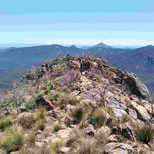 Mount Kaputar summit lookout (Oct 2022)