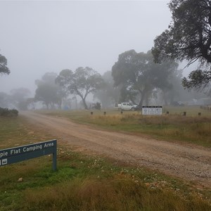 Magpie Flat Camping Area