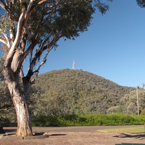 Looking east to the mountain from Oxley lookout