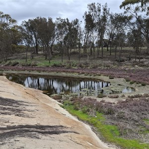 Oak Park Reserve Camping Area