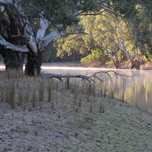 Darling River - Nelia Gaari