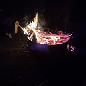 Dingo Dell Campground