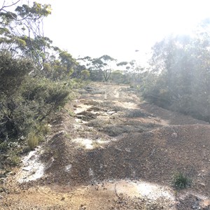 Unofficial Bush Camp