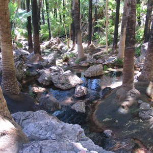 Springs scene at Zebedee