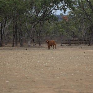 Jardine Lagoon Campsite