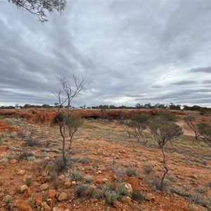 White Cross Interpretive Panel