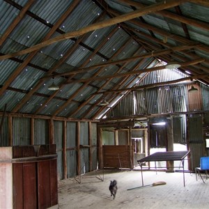 Shearing shed