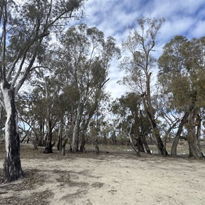 Campsite 22 Chowilla Game Reserve