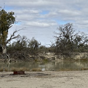 Campsite 22 Chowilla Game Reserve