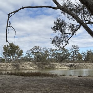 Campsite 21 Chowilla Game Reserve