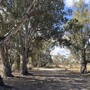 Campsite 15 Chowilla Game Reserve