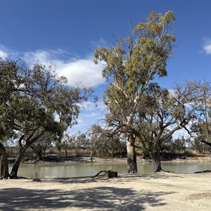 Campsite 12 Chowilla Game Reserve