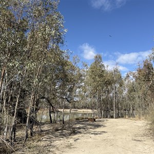 Campsite 13 Chowilla Game Reserve