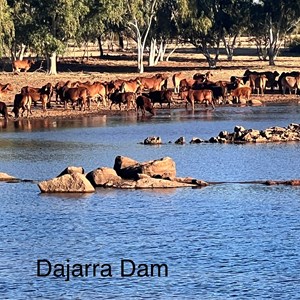 Dajarra Waterhole