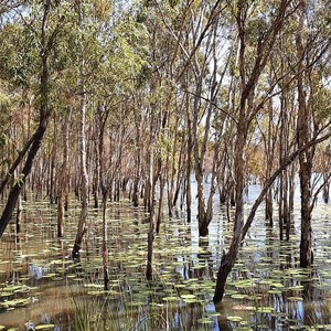 Emma Lagoon Day Use Area